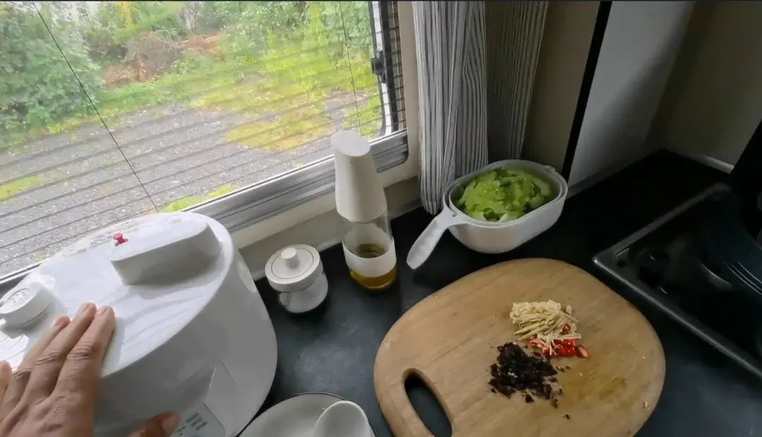 58歲的她，自駕房車(chē)旅居，一人兩犬，活成了自己喜歡的樣子